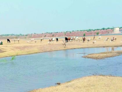 Only 13 percent water storage in the lakes of Sangli district | सांगली जिल्ह्यातील तलावांमध्ये केवळ १३ टक्केच पाणीसाठा, आता ‘वरुण राजा’चीच आस 