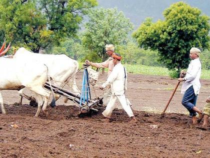 Sowing of Pavnadon Lakh Hector area due to lack of rain in Sangli district | सांगली जिल्ह्यात पावसाअभावी पावणेदोन लाख हेक्टर क्षेत्र पेरणीविना