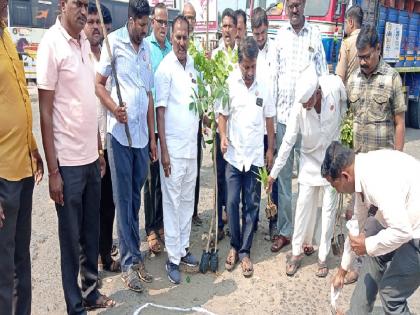 Swabhimani planted trees in pit of Sangli-Peth road | 'स्वाभिमानी'कडून सांगली-पेठ रस्त्याच्या खड्ड्यात वृक्षारोपण, ..तर अधिकाऱ्यांना कोंडून घालण्याचा दिला इशारा