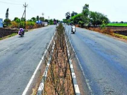 Sangli-Peth road work will start before December 15 | सांगली-पेठ रस्त्याच्या कामाला मिळाला मुहुर्त, ८८१ कोटीचा खर्च