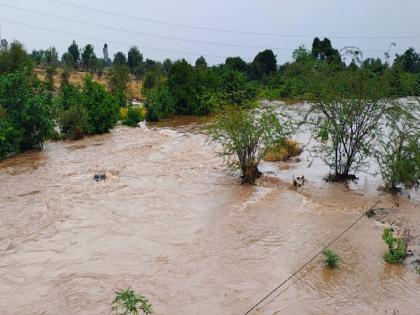 Heavy rains on Saturday midnight and Sunday disrupted life in many parts of Sangli district | सांगली जिल्ह्याला मुसळधार पावसाने झोडपले; नदी-नाल्यांना पूर, गावांचे संपर्क तुटले