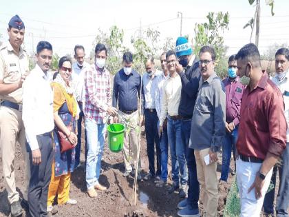 Officers and employees of Sangli Municipal Corporation planted 2000 trees at their own cost | महापालिकेची अनोखी संकल्पना, साकारले पहिले 'आठवण उद्यान'