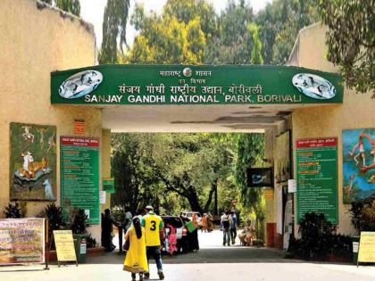 Mumbaikars' breath caught in plastic trap; Concern over plastic pollution in Sanjay Gandhi Park | प्लास्टिकच्या फासात अडकला मुंबईकरांचा श्वास; संजय गांधी उद्यानातील प्लास्टिक विळख्याची चिंता Mumbaikars' breath caught in plastic trap; Concern over plastic pollution in Sanjay Gandhi Park | प्लास्टिकच्या फासात अडकला मुंबईकरांचा श्वास; संजय गांधी उद्यानातील प्लास्टिक विळख्याची चिंता
