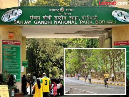नॅशनल पार्कमध्ये मॉर्निंग वॉकसाठी द्यावे लागणार १० हजार; ४५ रुपयांचा पास ५ हजारांना, नागरिकांचा संताप - Marathi News | Walking Becomes Costly in Mumbai SGNP Hikes Morning Walk Fees by 11000 percent Citizens Outraged | Latest News at Lokmat.com