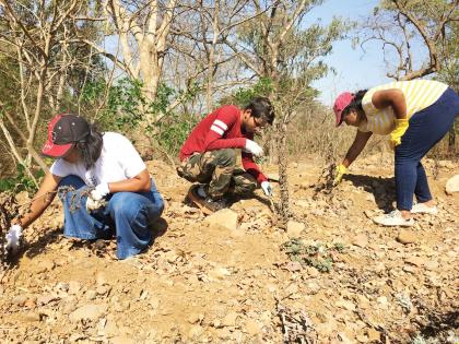 Sanitation campaign implemented in Sanjay Gandhi National Park | संजय गांधी राष्ट्रीय उद्यानात राबविली स्वच्छता मोहीम