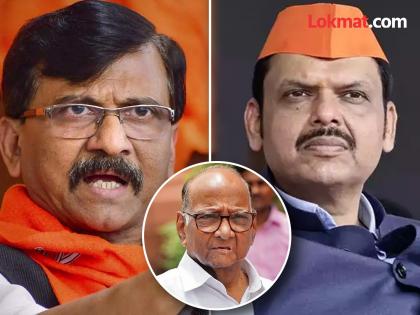 You will never know what was going on in Sharad Pawar's head for 100 births sanjay raut criticized on Devendra Fadnavis | 'शरद पवारांच्या डोक्यात काय चाललं हे १०० जन्म तुम्हाला कळणार नाही'; संजय राऊतांनी देवेंद्र फडणवीसांना डिवचलं