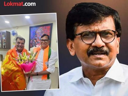 "भाजपच्या सांगण्यावरुनच कृपाशंकर यांनी..."; उत्तर भारतीय महापौर करण्याच्या विधानावरुन संजय राऊत आक्रमक - Marathi News | BJP Plot to Crush Marathi Pride Sanjay Raut Slams Kripashankar Singh North Indian Mayor Remark | Latest News at Lokmat.com "भाजपच्या सांगण्यावरुनच कृपाशंकर यांनी..."; उत्तर भारतीय महापौर करण्याच्या विधानावरुन संजय राऊत आक्रमक - Marathi News | BJP Plot to Crush Marathi Pride Sanjay Raut Slams Kripashankar Singh North Indian Mayor Remark | Latest News at Lokmat.com