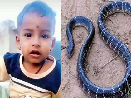 Death of snakebite child due to lack of timely treatment in sangli | Sangli: वेळेत उपचार न मिळाल्याने सर्पदंश झालेल्या बालकाचा मृत्यू, संतप्त नागरिकांचा डॉक्टरांना घेराव