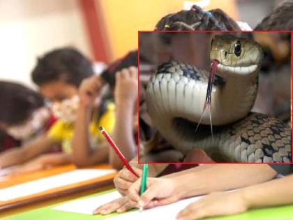 A seven-year-old student was bitten by a snake in Vagade Central School in Kankavli | शाळेत खिडकीतून चिमुकलीच्या हातावरच सापाने उडी मारुन केला दंश, कणकवलीतील घटना