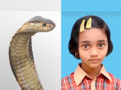 A girl died after being bitten by a snake at Bhamte in Kolhapur district | गाढ झोपेत असलेल्या माय-लेकीस नागाने केला दंश, चिमुकलीचा झाला मृत्यू; कोल्हापुरातील दुर्दैवी घटना