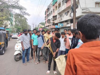 Snake found in car, confusion in Kesarkar Peth of Satar | कारमध्ये आढळला चक्क साप, सातारच्या केसरकर पेठेत उडाला गोंधळ 