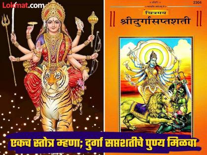 shardiya navratri 2024 recite chant effective saptashloki durga stotra and get blessings of durga devi in navratri utsav 2024 saptashloki durga stotram in marathi | नवरात्र: ५ मिनिटांत होणारे ‘हे’ स्तोत्र म्हणा; संपूर्ण दुर्गा सप्तशती पठणाचे पुण्य मिळवा