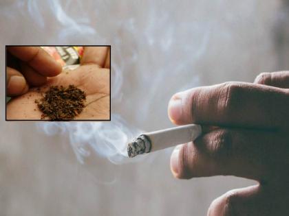 Smoking, consumption of tobacco in government offices; A fine of five lakhs was collected in Kolhapur | सरकारी कार्यालयातच राजरोस धूम्रपान, तंबाखूचे सेवन; कोल्हापुरात 'इतक्या' लाखांचा दंड वसूल