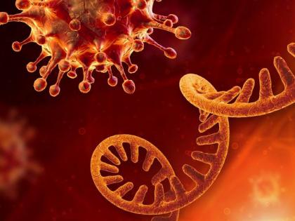 Coronavirus in Wardha; 12,000 positive in Wardha district during Lockdown | Coronavirus in Wardha; वर्धा जिल्ह्यात संचारबंदीच्या काळात १२ हजारांवर पॉझिटिव्ह