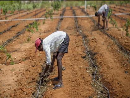 Satara monsoon rains the sowing of Kharif season has started | पावसानं शिवार भिजवलं; काळ्या मातीच्या कुशीत बियाणं रुजवलं!