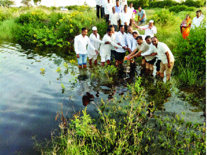 After that, the cobbled pool | तपानंतर भरला गोपूजचा तलाव