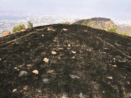 fire on Satara hills, stopped at morning; The reason is still unclear | सातारा डोंगरावरील वणवा भल्या पहाटे शांत; कारण अद्याप अस्पष्ट