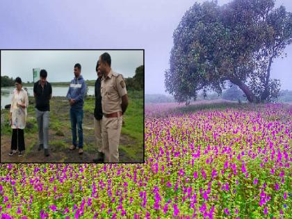 The Kas plateau season will start from September 4th Satara District Collector visited the plateau and inspected it | Satara: कासवर यंदा ४ सप्टेंबरपासून फुलोत्सव..!, नियोजनासाठी जिल्हाधिकारी पोहोचले प्रत्यक्ष पठारावर The Kas plateau season will start from September 4th Satara District Collector visited the plateau and inspected it | Satara: कासवर यंदा ४ सप्टेंबरपासून फुलोत्सव..!, नियोजनासाठी जिल्हाधिकारी पोहोचले प्रत्यक्ष पठारावर
