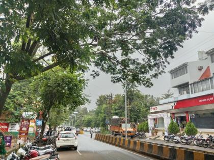 Karad city is becoming a green city; About 40 percent of the population is trees | Satara: कऱ्हाड शहर बनतंय ‘ग्रीन सिटी’; लोकसंख्येच्या तुलनेत सुमारे ४० टक्के वृक्ष