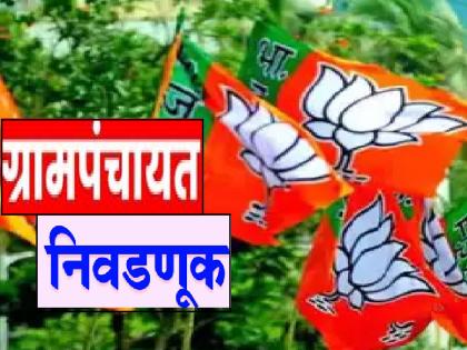 BJP split both parties and added voters in gram panchayat Election satara | Gram Panchayat Election: भाजपने दोन्ही पक्ष फोडले अन् मतदार जोडले