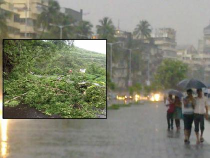 Heavy rains continue in Satara district, Koyna dam water level is on the verge of forty | सातारा जिल्ह्यात पावसाचा जोर कायम, कोयनेचा पाणीसाठा चाळीशीच्या उंबरठ्यावर; अनेक ठिकाणी दरडी, झाडे कोसळली