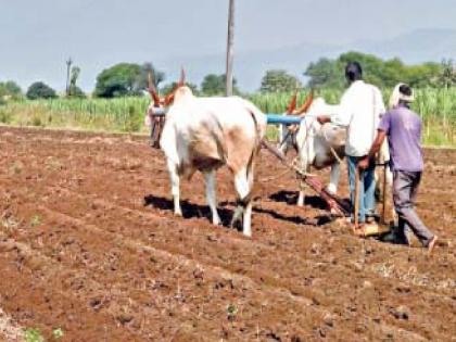 Inadequate rain in Satara district; Sowing is only 14 percent, farmers are worried | सातारा जिल्ह्यात अपुरा पाऊस; पेरणी अवघी १४ टक्केच, शेतकरी चिंतेत