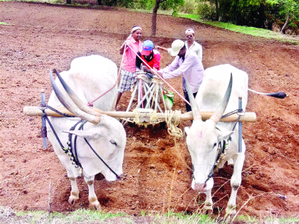 The scarcity of concerns in the area of ​​the farmers! | दुष्काळी भागात चिंतेच्या ढगात शेतकऱ्यांचा वावर !