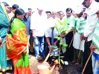 Planting 7 thousand 200 trees in 12 hectare area | १२ हेक्टर क्षेत्रात ७ हजार २०० वृक्षांचे रोपण