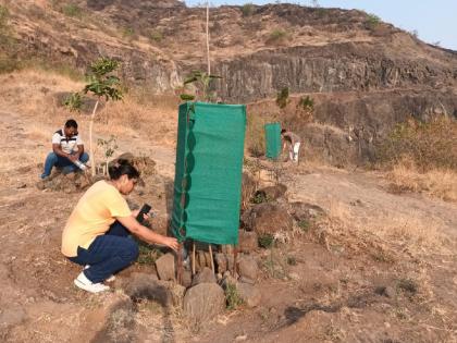 Struggling to save forest resources, conservation of trees on Sonjai hills by environmentalists | वनसंपदा जगविण्यासाठी धडपड, सोनजाई डोंगरावरील झाडांचे पर्यावरणप्रेमींकडून संवर्धन