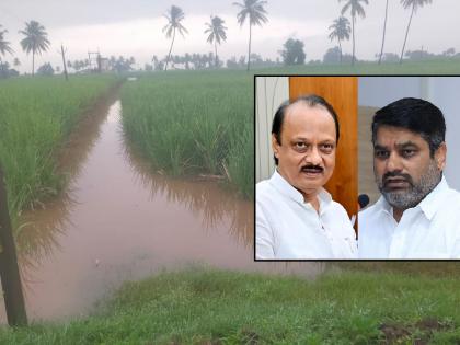 Provide immediate assistance to farmers affected by heavy rains Satej Patil demands Ajit Pawar | अतिवृष्टीने नुकसान झालेल्या शेतकऱ्यांना तातडीने मदत द्या; सतेज पाटील यांची अजित पवार यांच्याकडे मागणी Provide immediate assistance to farmers affected by heavy rains Satej Patil demands Ajit Pawar | अतिवृष्टीने नुकसान झालेल्या शेतकऱ्यांना तातडीने मदत द्या; सतेज पाटील यांची अजित पवार यांच्याकडे मागणी