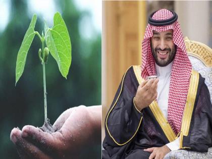 saudi arabia pince mohammad bin salman unveils design of new city to promote green lifestyle | ग्रीन लाइफस्टाइलची तयारी! सौदी अरेबिया समुद्रसपाटीपासून 500 मीटर उंचीवर वसवणार आधुनिक नवीन शहर