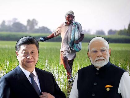 चीननं केला विश्वासघात, भारताला दिली 'या' देशाने साथ; ५ वर्षाचं टेन्शन मिटलं, शेतकऱ्यांना मोठा फायदा