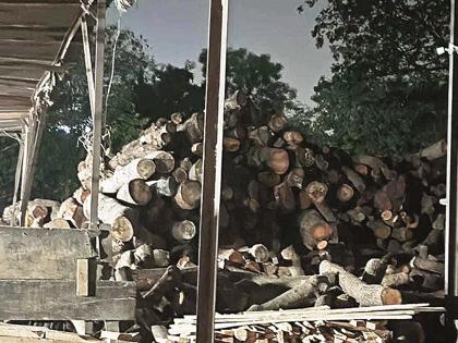 60 timber logging factories have licenses, the rest are awaiting action from the Forest Department | ६० लाकूड कटाई कारखान्यांकडे परवाने, बाकीच्यांवर वन विभागाकडून कारवाईची प्रतीक्षाच 60 timber logging factories have licenses, the rest are awaiting action from the Forest Department | ६० लाकूड कटाई कारखान्यांकडे परवाने, बाकीच्यांवर वन विभागाकडून कारवाईची प्रतीक्षाच