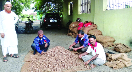 Turmeric seeds, vermicomposting 'sachshir' sardande | हळद बियाणे, बारदानांत ‘खात्रीशीर’ सावर्डे