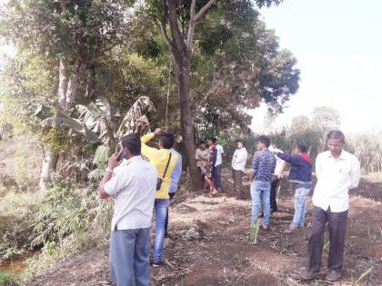 Kolhapur: The victim of two goats paralyzed the tree, type of banana! | कोल्हापूर : झाडाला टांगुन दिला दोन बकऱ्यांचा बळी, भानामतीचा प्रकार !