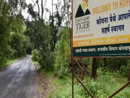 Nature lovers can experience Buddha Purnima night in the forest of Sahyadri Tiger Reserve | सह्याद्री व्याघ्र प्रकल्पाच्या जंगलात निसर्गप्रेमींना अनुभवता येणार बुद्ध पौर्णिमेची रात्र