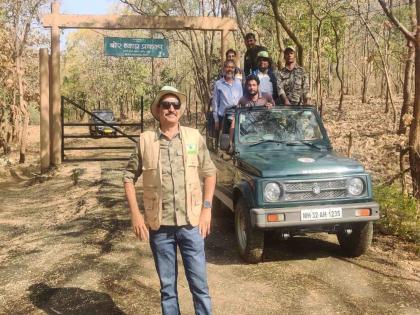 Marathi Actor Sayaji Shinde Did a jungle safari for two consecutive days in Bor Tiger Reserve | बोरची राणी 'कॅटरिना'ची 'सयाजी शिंदें'ना हुलकावणी; सलग दोन दिवस केली जंगल सफारी