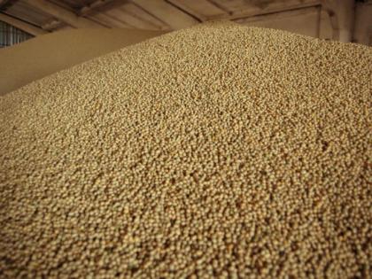 Soybean prices fall by Rs 2,000 in four days | चार दिवसांत सोयाबीन दरात २ हजारांची घसरण