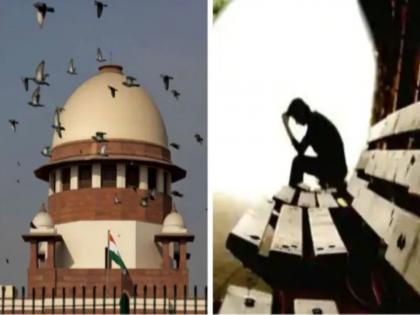 if wife gives trouble where should the husband go appointing a male commission petition in the supreme court | पत्नीने त्रास दिला तर पतीने जायचे कुठे? पुरूष आयाेग नेमा, सुप्रीम काेर्टात याचिका!