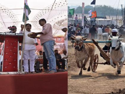 For the first time in the country, Shankarpat started with the tricolor salute | देशात पहिल्यांदा तिरंग्याला सलामीने सुरू झाला शंकरपट