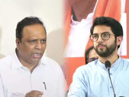 "Do not teach us wisdom"; BJP Ashish Shelar counter attack on Shiv Sena Aditya Thackeray | "आम्हाला शहाणपणा शिकवू नये, तुम्ही..."; आशिष शेलारांचा आदित्य ठाकरेंवर पलटवार 