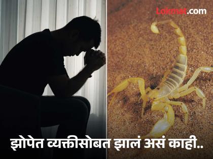 Scorpion stung man's private part in a hotel wife said married life is ruined | हॉटेलमध्ये थांबलेल्या व्यक्तीच्या गुप्तांगावर विंचवाचा दंश, पत्नी म्हणाली - वैवाहिक जीवन...