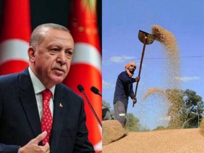 Turkey rejects india's wheat consignment says this reason | India-Turkey: भुकेनं त्रस्त तुर्कीला मदत म्हणून भारतानं पाठवली होती गव्हाची खेप; बदल्यात मिळालं असं उत्तर