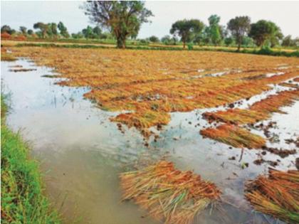 Increase in aid to disaster victims, Central Government criteria accepted by State Government, Cabinet approval | आपत्तीग्रस्तांच्या मदतीत वाढ, केंद्र सरकारचे निकष राज्य सरकारने स्वीकारले, मंत्रिमंडळाची मान्यता