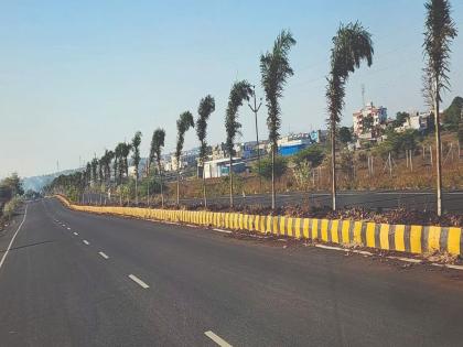 The theft of trees planted for beautification on the highway, construction department complaint to the police | महामार्गावर सौंदर्यीकरणासाठी लावलेल्या झाडांची चोरी, बांधकाम विभागाची पोलिसात तक्रार