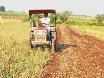 A mockery of the onion farmer; Administration suspend to the trader for 15 days | कांदा शेतकऱ्याची थट्टा; व्यापाऱ्याला प्रशासनाचा दणका