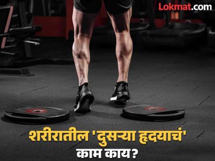 Most people dont know that calf muscles is called second heart of body | पायांमध्ये असतं दुसरं 'हृदय', जास्तीत जास्त लोकांना नसतं माहीत याचं कार्य; आता जाणून घ्या!