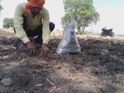 Youths struggle to collect seeds of multipurpose trees | बहुपयोगी वृक्षांच्या बिया संकलित करण्यासाठी वृक्षप्रेमी युवकांची धडपड