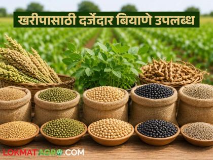latest news Seed Rate: Parbhani Agricultural University announces seed rate list; Which variety costs more? Read in detail | Seed Rate : परभणी कृषी विद्यापीठाकडून बियाण्यांचे दरपत्रक जाहीर; कोणते वाण कितीला? वाचा सविस्तर latest news Seed Rate: Parbhani Agricultural University announces seed rate list; Which variety costs more? Read in detail | Seed Rate : परभणी कृषी विद्यापीठाकडून बियाण्यांचे दरपत्रक जाहीर; कोणते वाण कितीला? वाचा सविस्तर