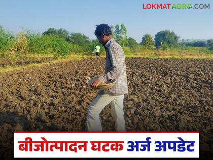 Latest news Extension of application deadline for seed production component in Pokhara project | पोकरा प्रकल्पातील बिजोत्पादन घटकाच्या अर्जासाठी मुदतवाढ, 'या' तारखेपर्यंत अर्ज करा Latest news Extension of application deadline for seed production component in Pokhara project | पोकरा प्रकल्पातील बिजोत्पादन घटकाच्या अर्जासाठी मुदतवाढ, 'या' तारखेपर्यंत अर्ज करा
